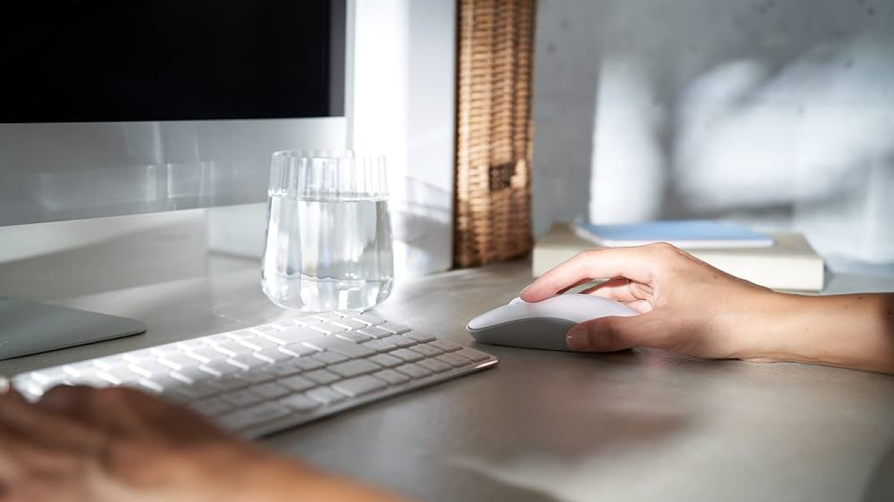 Apa Itu Mouse Wirelles? Cara Menggunakannya Bagaimana/gobigalcanessa.com